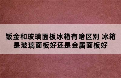 钣金和玻璃面板冰箱有啥区别 冰箱是玻璃面板好还是金属面板好